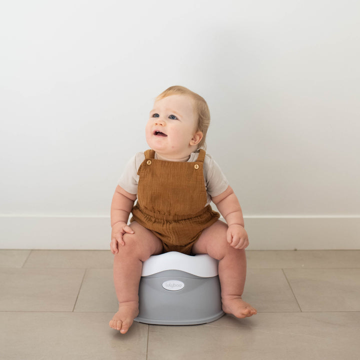 Potty Trainer Seat